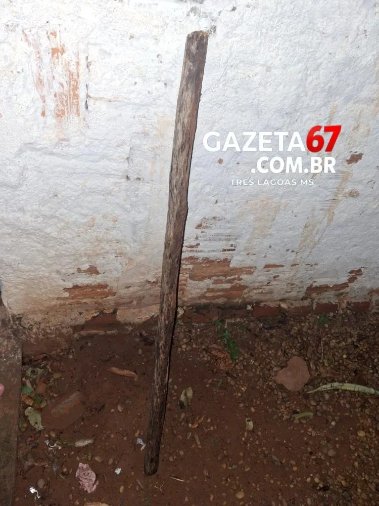 Ladrões invadem residência, furtam objetos e agridem cachorro a pauladas em Três Lagoas 